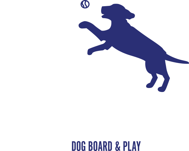 CAMP SCHULTZ